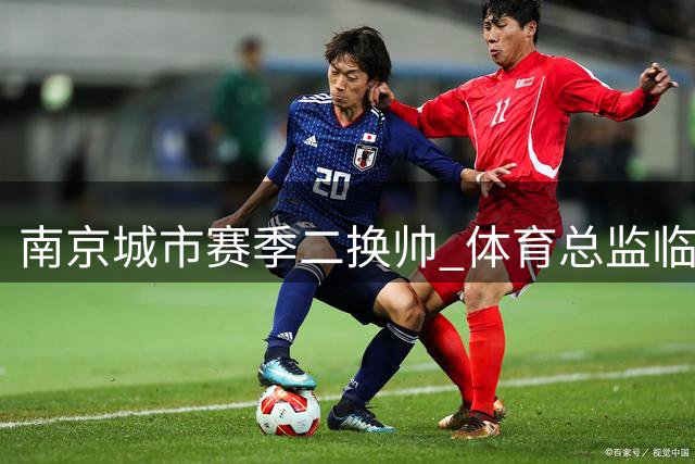 南京城市赛季二换帅 体育总监临危受命